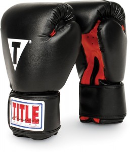 best boxing gloves under $20 dollars