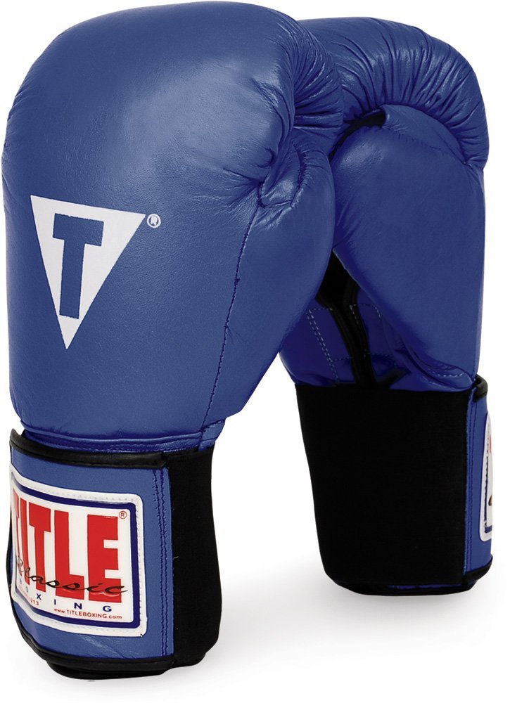 Title Classic Leather Boxing Gloves evolved MMA