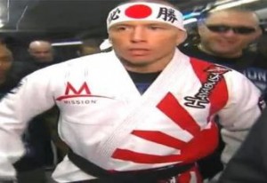 georges st pierre rising sun