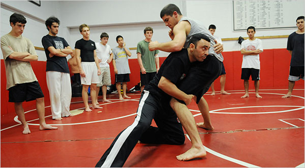 What Martial Arts Should You Practice For MMA - evolved MMA