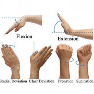 how to strengthen your wrists