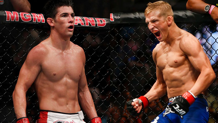 dominick cruz vs tj dillashaw dominick cruz vs tj dillashaw