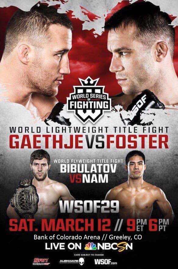 WSOF 29 Gaethje vs Foster