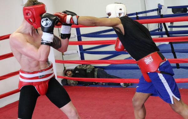 top boxing headgear