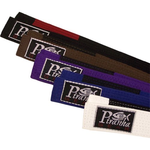 best jiu jitsu belt evolved MMA