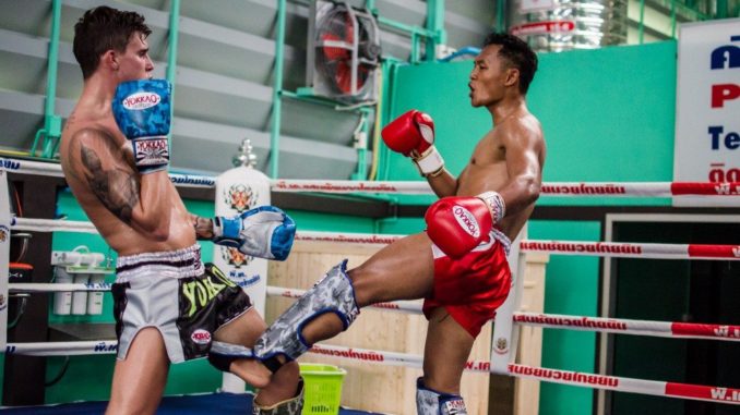Velo Shin Guards Instep Gel Pads MMA Leg Foot Muay Thai Kick Boxing UFC MMA Protective Gear 