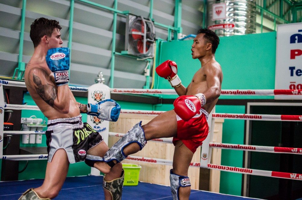 Flare Shin Protectors Guards Instep Leg Kick Boxing Guards Muay Thai Straps MMA 