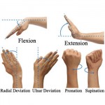 Wrist Exercises to Strengthen your Wrists for MMA Training